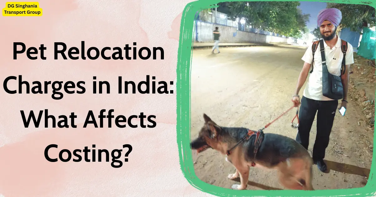 pet relocation charges in india what affects costing?