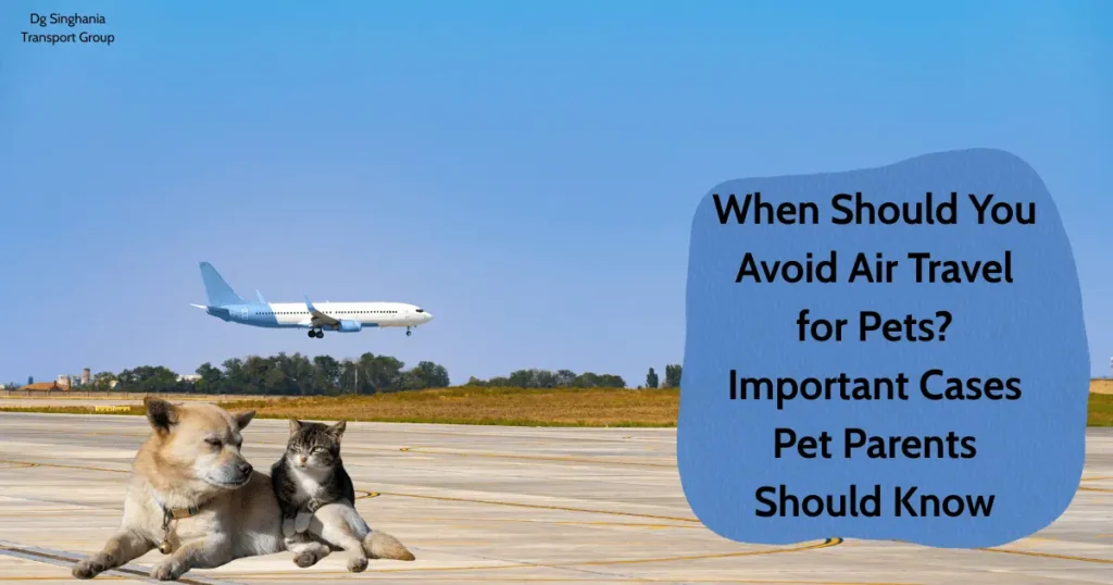 When Should You Avoid Air Travel for Pets? Important Cases Pet Parents Should Know